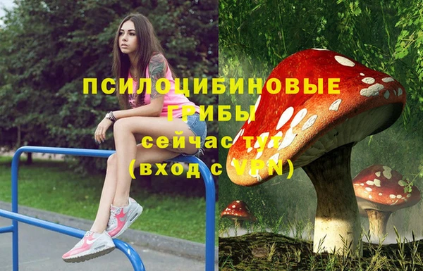 мяу мяу кристалл Лабытнанги