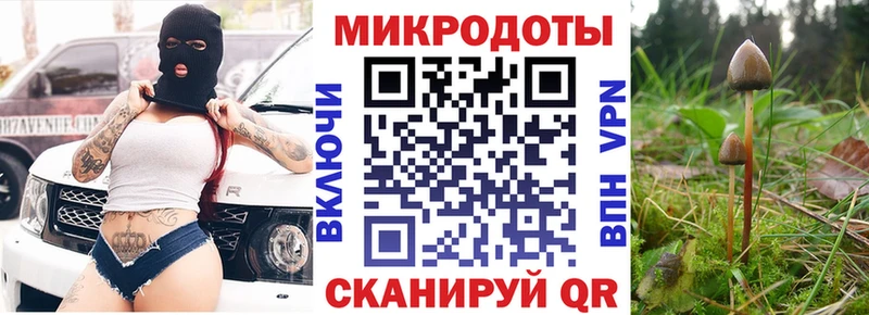 Псилоцибиновые грибы прущие грибы Саров